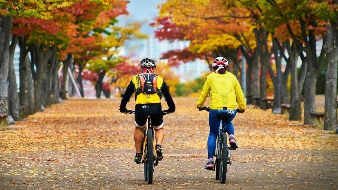 L appli Geovelo le Waze du cycliste